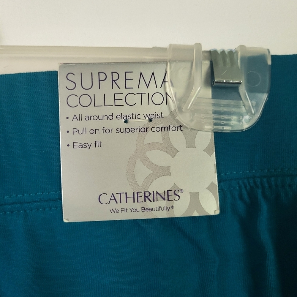 NWT Catherines 2XWP Teal Skirt - Picture 5 of 8